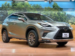 LEXUS NX300