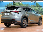 LEXUS NX300