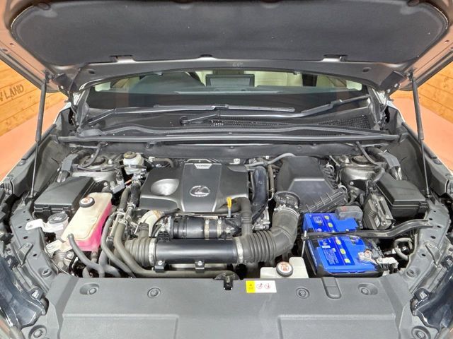 LEXUS NX300