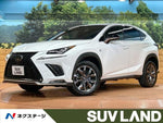 LEXUS NX300
