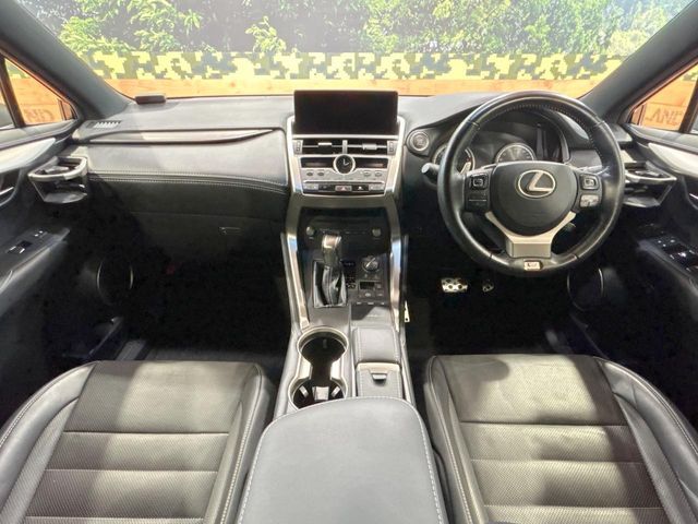 LEXUS NX300