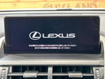 LEXUS NX300