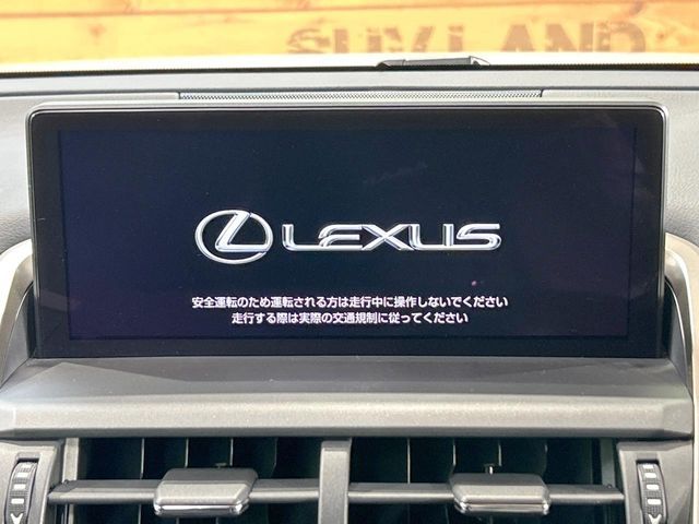 LEXUS NX300