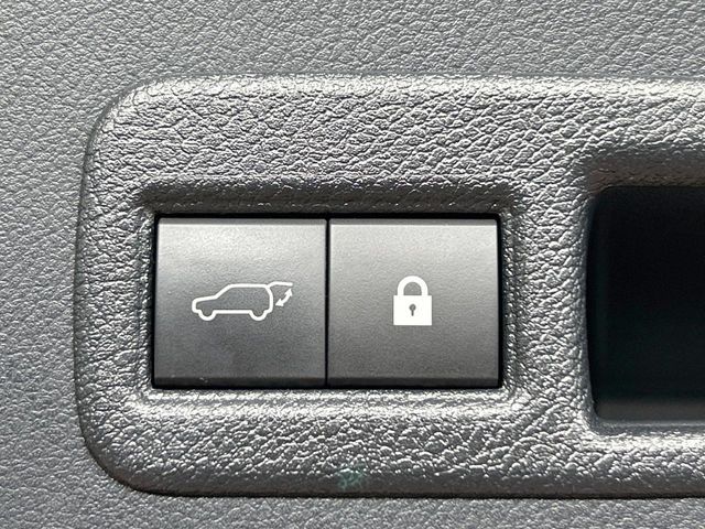 LEXUS NX300