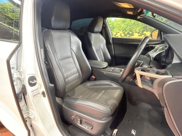 LEXUS NX300