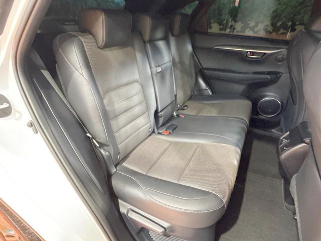 LEXUS NX300