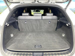LEXUS NX300