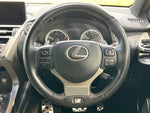 LEXUS NX300
