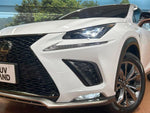 LEXUS NX300
