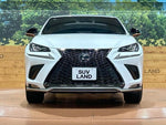 LEXUS NX300