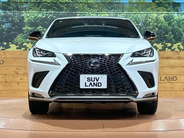 LEXUS NX300