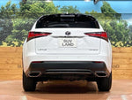 LEXUS NX300