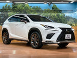 LEXUS NX300