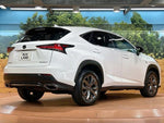 LEXUS NX300
