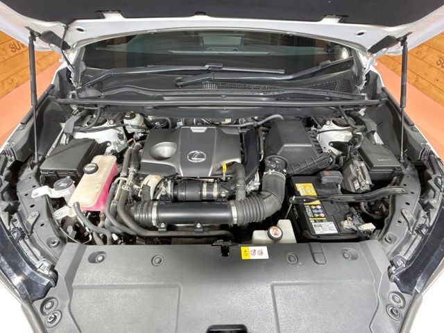 LEXUS NX300