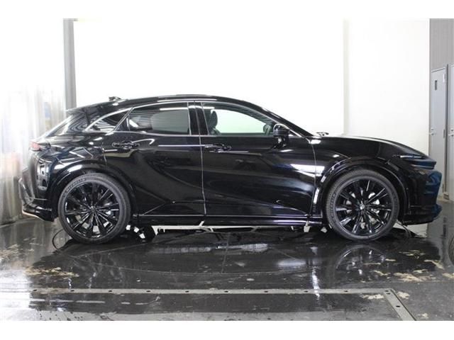 CROWN SPORT