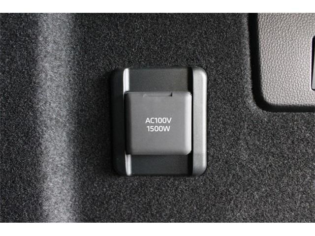 CROWN SPORT