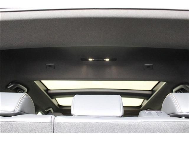 CROWN SPORT