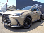 LEXUS NX450h+ AWD