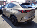 LEXUS NX450h+ AWD