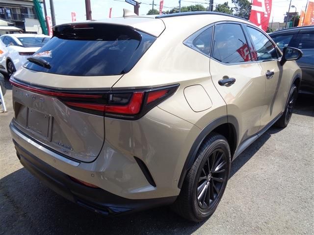 LEXUS NX450h+ AWD