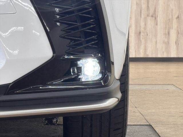 LEXUS NX350h