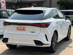 LEXUS RX500h