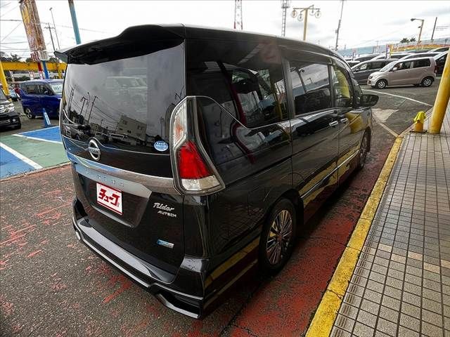 SERENA  S-HYBRID