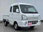 Super CARRY truck 4WD
