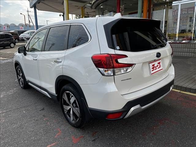 FORESTER