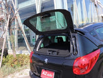 PEUGEOT 207SW