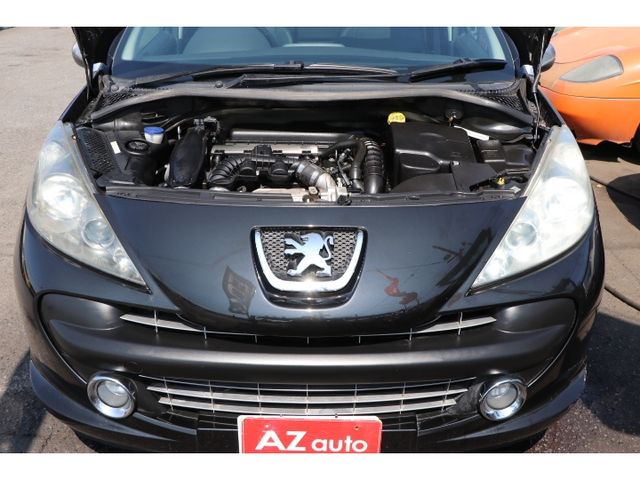PEUGEOT 207SW