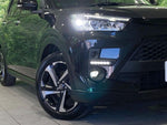 RAIZE HYBRID