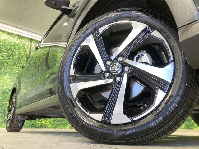 RAIZE HYBRID