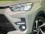 RAIZE HYBRID