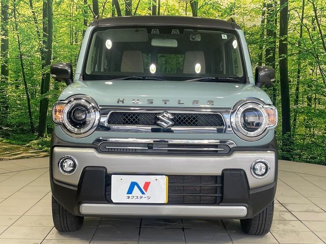 HUSTLER 4WD