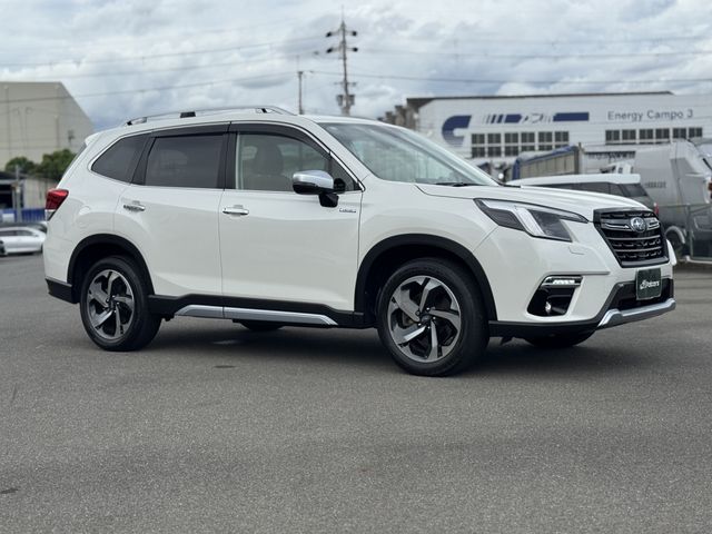 FORESTER