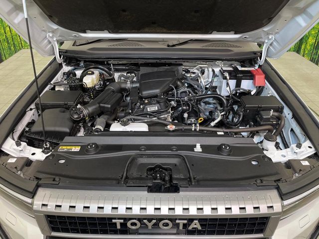 LANDCRUISER 250