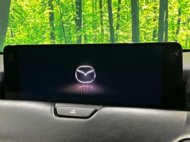 CX-80
