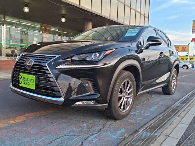 LEXUS NX300