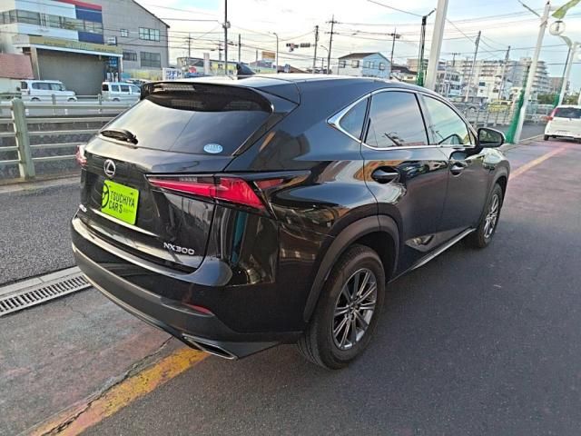LEXUS NX300