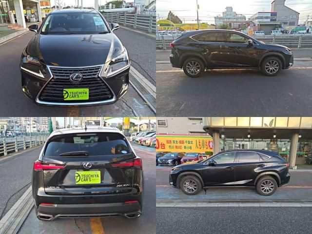 LEXUS NX300