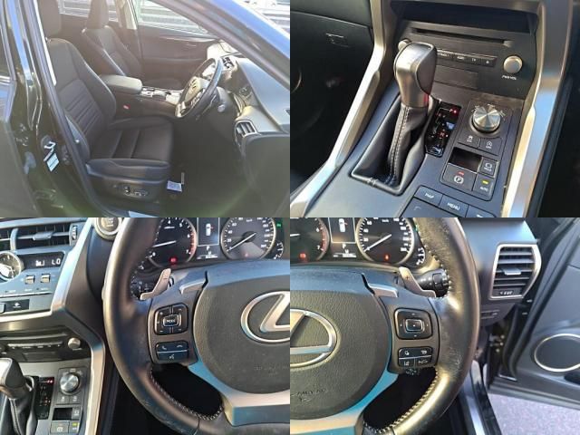 LEXUS NX300