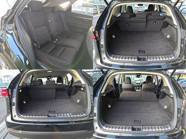 LEXUS NX300