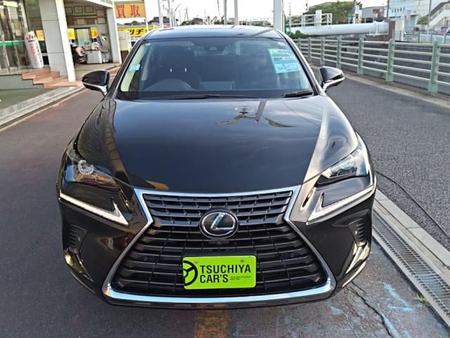 LEXUS NX300