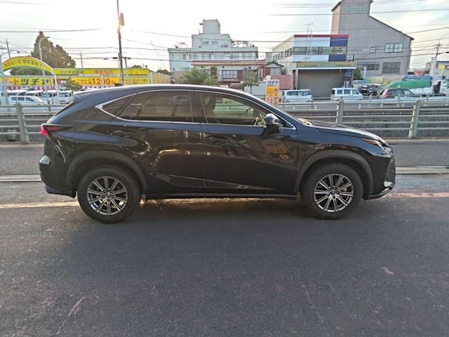 LEXUS NX300