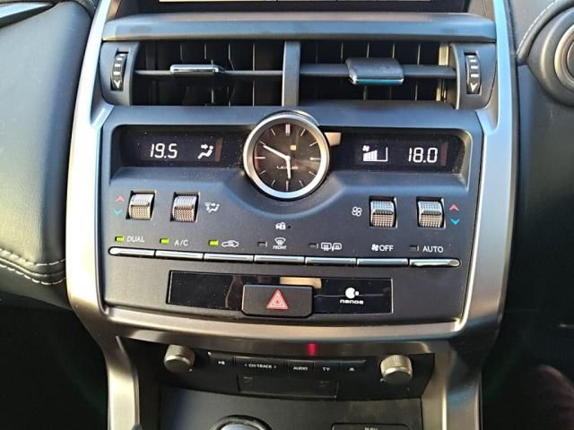 LEXUS NX300