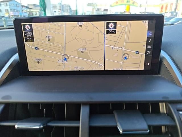 LEXUS NX300