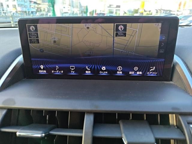 LEXUS NX300