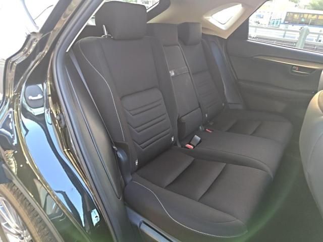 LEXUS NX300